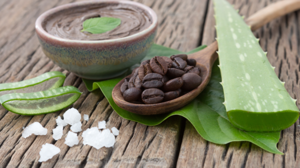 Spa concept on wood background Amazing Benefits of Aloe Vera for Hair Skin and Weight Loss Another part of the aloe vera plant which is used is the sap
